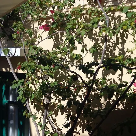 فندق Via Via *